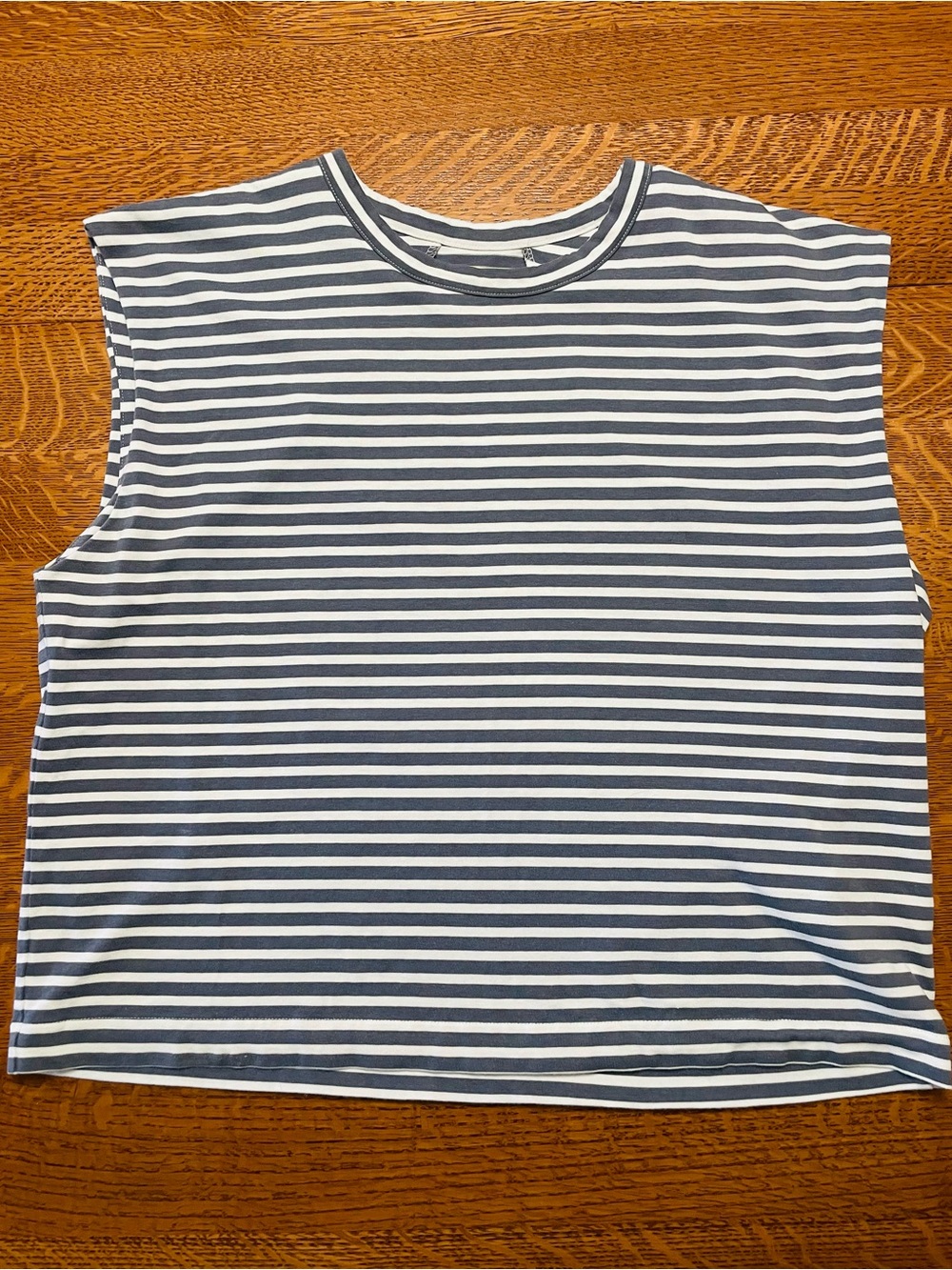 Madewell Blue and White Striped Sleeveless Tank